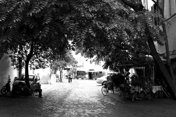 estate trastevere