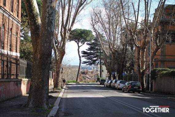 Together-foto-alberi